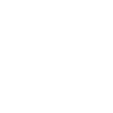 Логотип BYD
