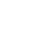 Логотип DS