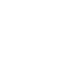 Логотип FSO