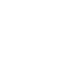 Логотип Noble