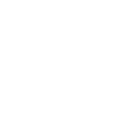 Логотип Panoz