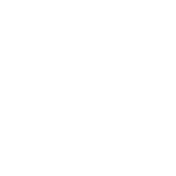 Логотип Soueast