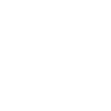 Логотип Steyr